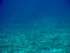 IMG_3533.JPG