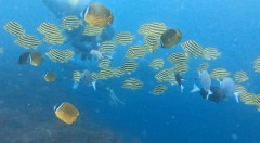 IMG_3691.jpeg