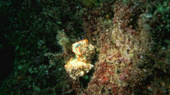IMG_3695.jpeg