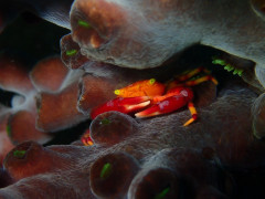 IMG_3890.jpeg