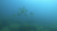 IMG_3895.jpeg