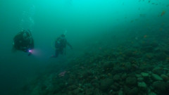 KLUZ3298.JPG