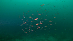 RGWE7921.JPG