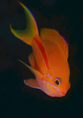 IMG_4270.jpeg