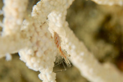IMG_4280.jpeg