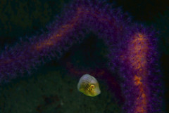 IMG_4279.jpeg