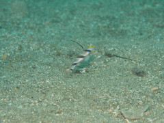 IMG_4376.JPG