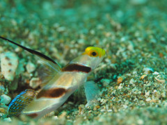 IMG_4363.JPG