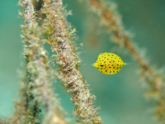 IMG_4371.JPG