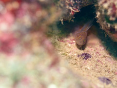 IMG_4374.JPG