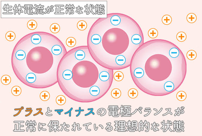 微弱電流治療“エレサス” - 八手接骨院/リラクゼーション美容サロン 八手