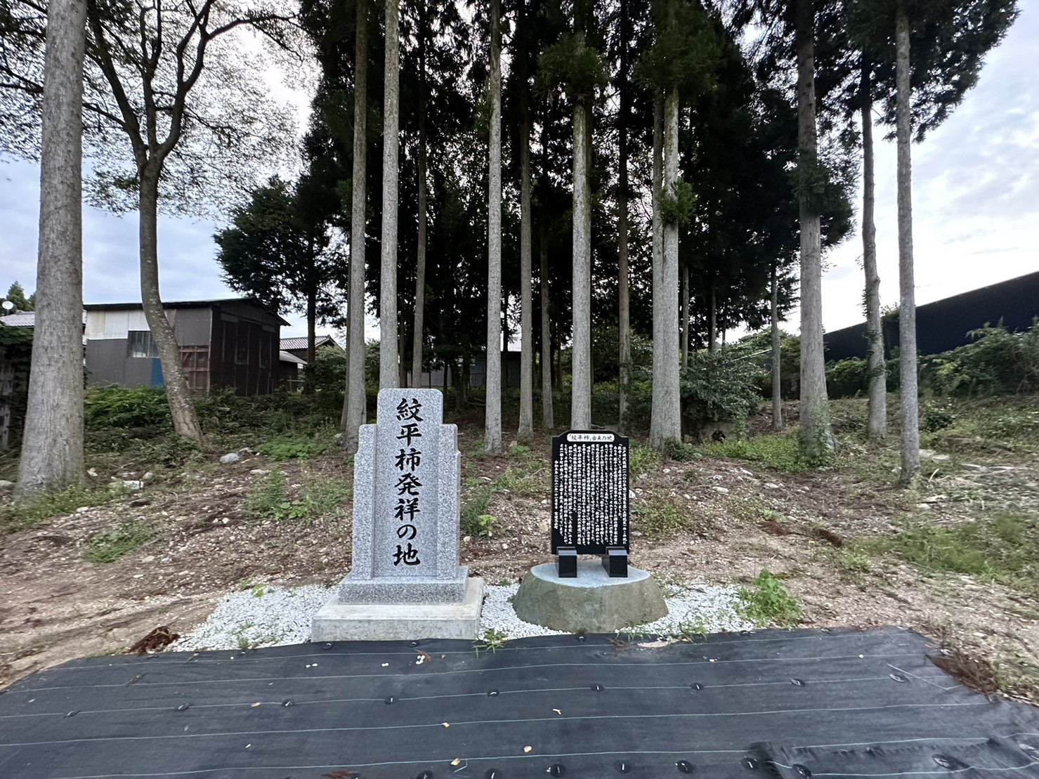 宝達志水町　紋平柿発祥の地