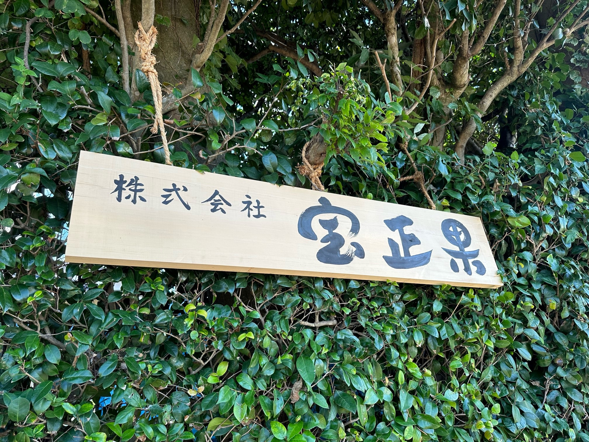 株式会社　宝正果