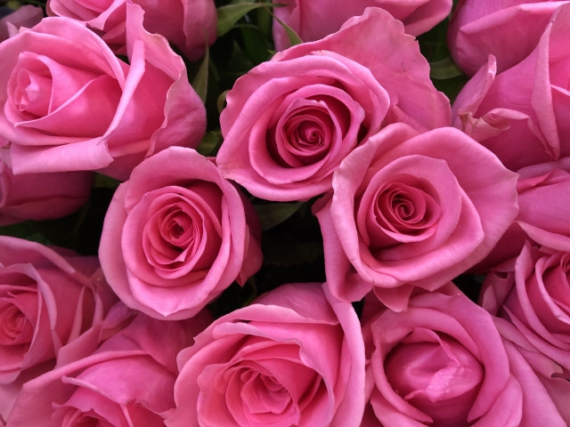 憧れの曲は、何ですか？