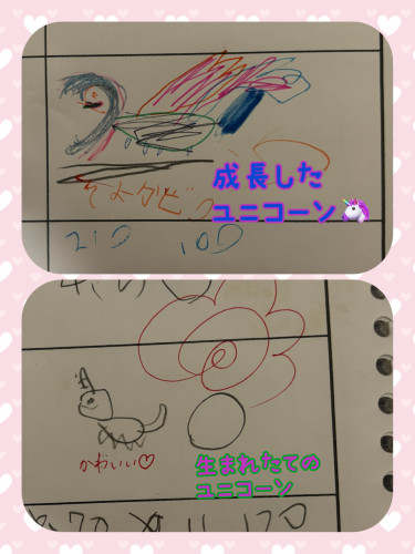IMG_0857.jpeg