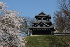 4820403_s.jpg