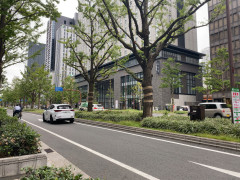 IMG_4723.jpeg