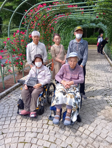 真岡市の井頭公園にバラを見に行きました。満開でいい香り…🌹🍃