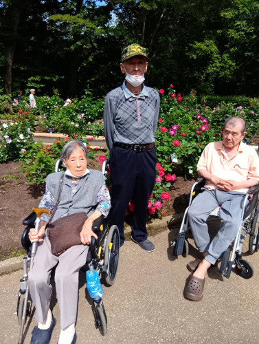 バラ園には色とりどりの薔薇がたくさん。訪問したのは5月で、ちょうど見頃でした。