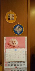 DSC_0020.JPG