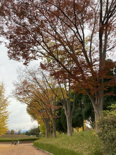 B957D7F3-F828-467A-AA04-03A3BDAD09A8.jpeg