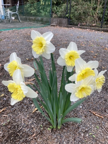 image1 (1).jpeg