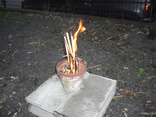 CIMG6164.JPG