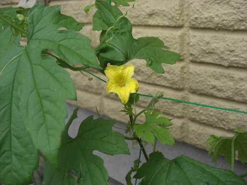 CIMG7108.JPG