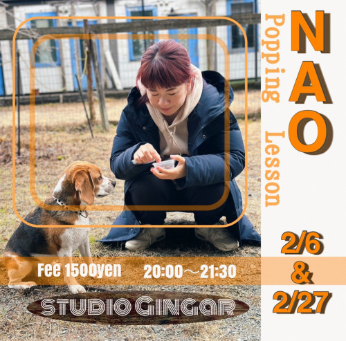 NAO popping lesson