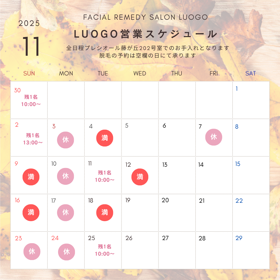 11月の営業スケジュール♪