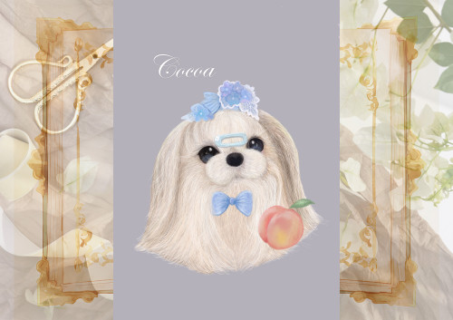 アンティークシーズーCocoaデザイン.jpg