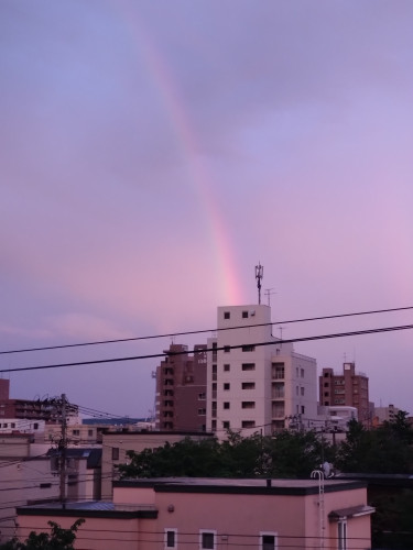 DSC_1337.JPG