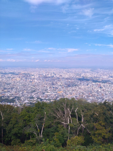 DSC_1768.JPG