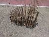KIMG2929.JPG