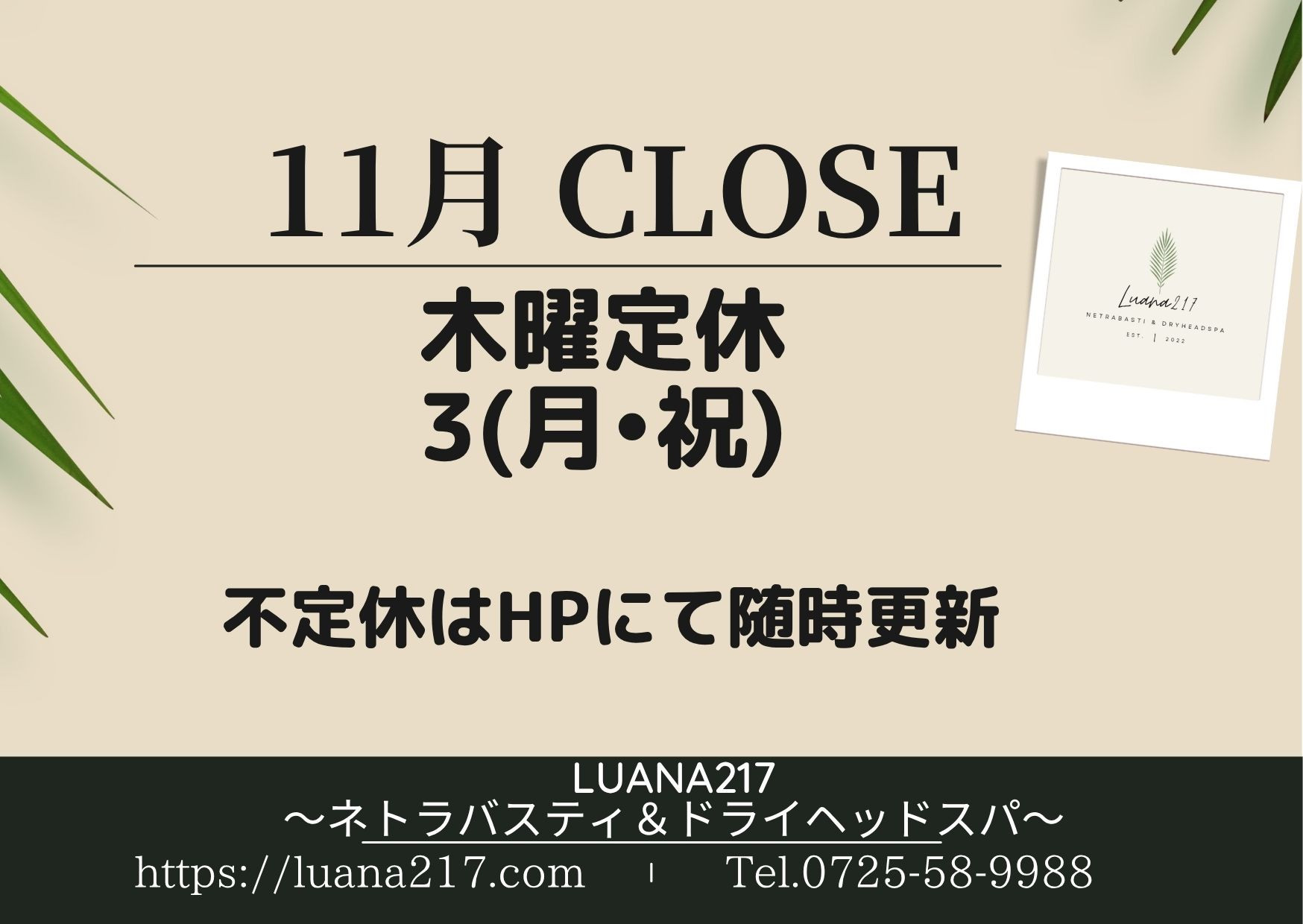 11月のサロン休業日