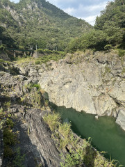 IMG_2108.jpeg