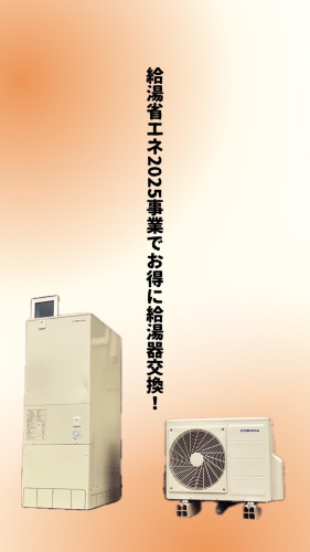S__78037116_0.jpg