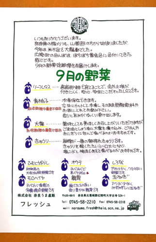 S__50389013.jpg
