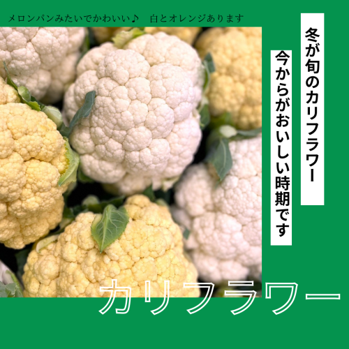 カリフラワー　オレンジ.png
