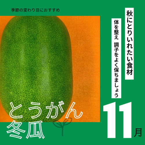冬瓜.png