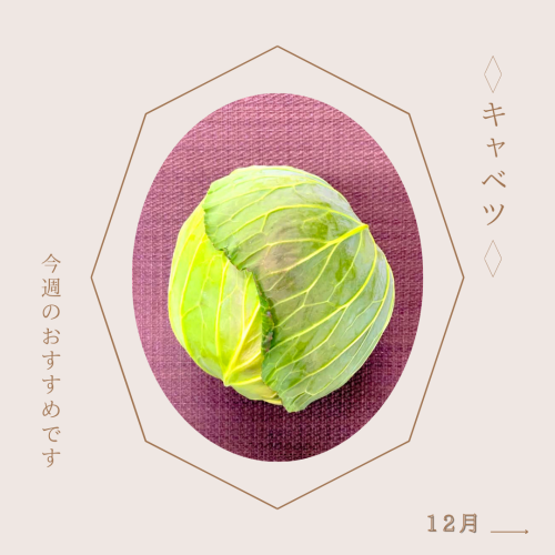 キャベツ12.png