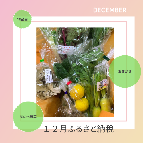 12月ふるさと納税.png