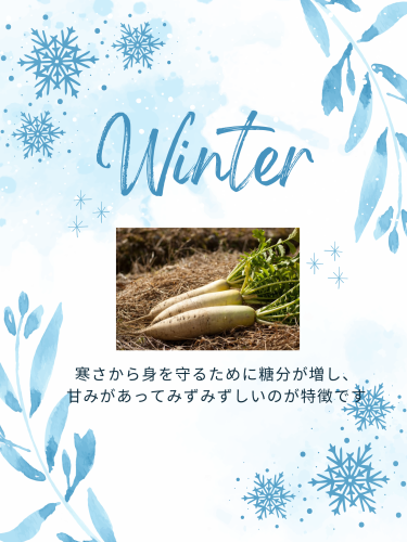 大根写真.png