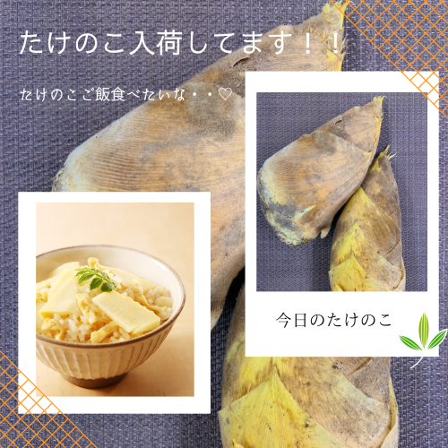 たけんこ4月.png