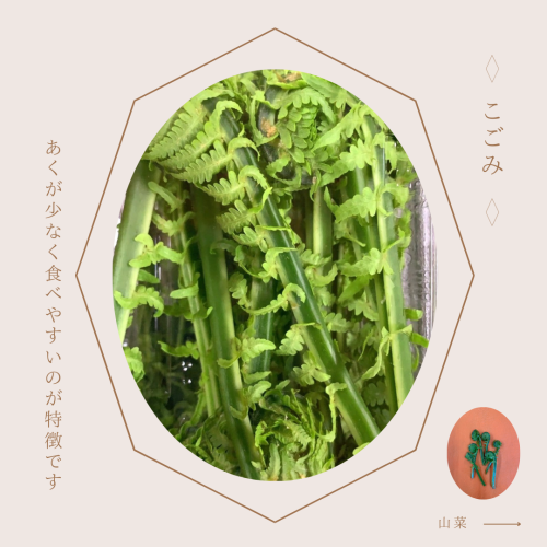 作品紹介　ハンドメイド　ピンク　アクセサリー　シンプル　Instagram投稿.png