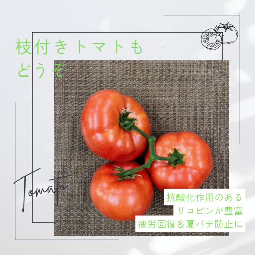GW明けからのおすすめは 枝付きトマト (3).png
