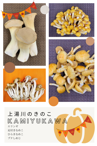 上湯川きのこ.png