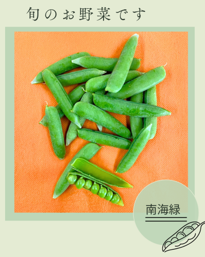 緑　黄緑　サロン　Instagram投稿.png