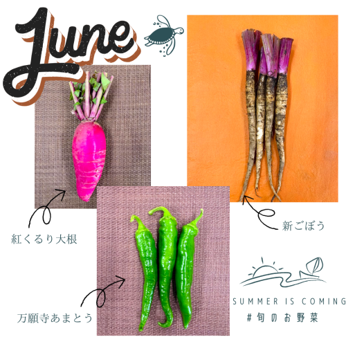 現在のおすすめ野菜 (1).png