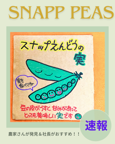 緑　黄緑　サロン　Instagram投稿 (2).png